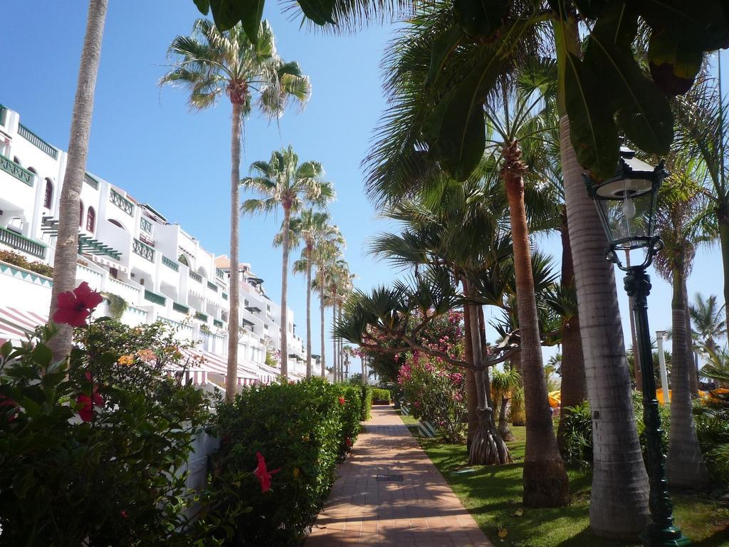 4 Santiago Playa Tenerife Estudio Πλάγια ντε λας Αμέρικας Δωμάτιο φωτογραφία